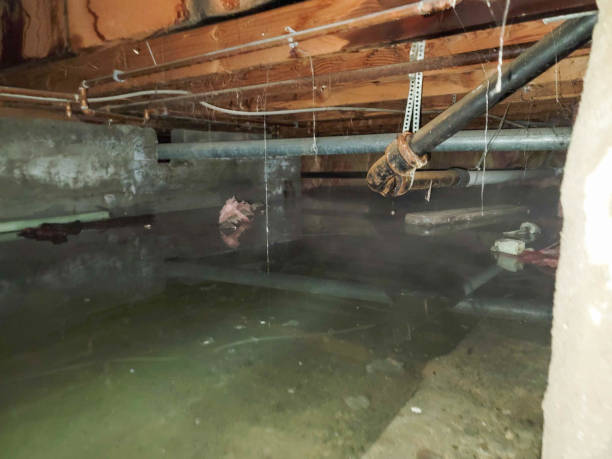 Professional Water damage restoration in UT