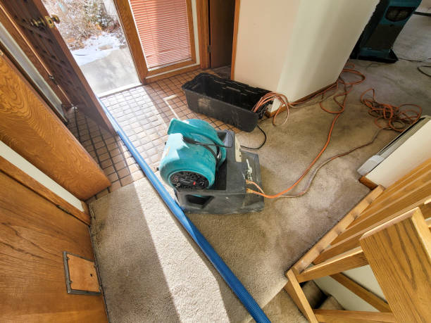 Best Water damage restoration near me  in Salem, UT