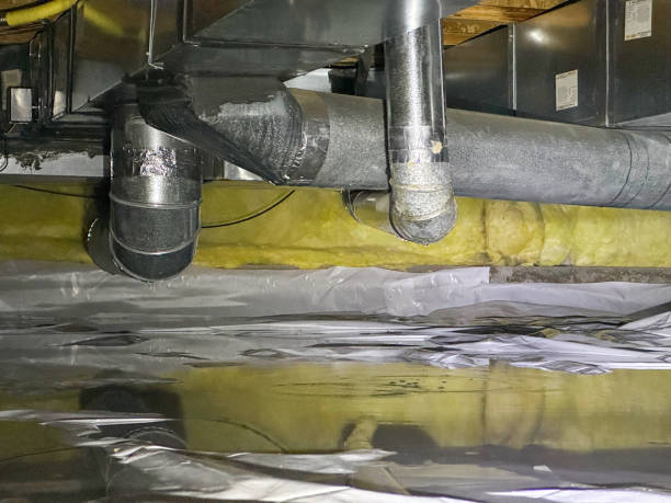 Best Water damage contractors near me  in Salem, UT