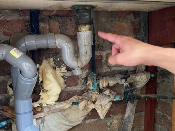 Best Water damage restoration services  in Salem, UT