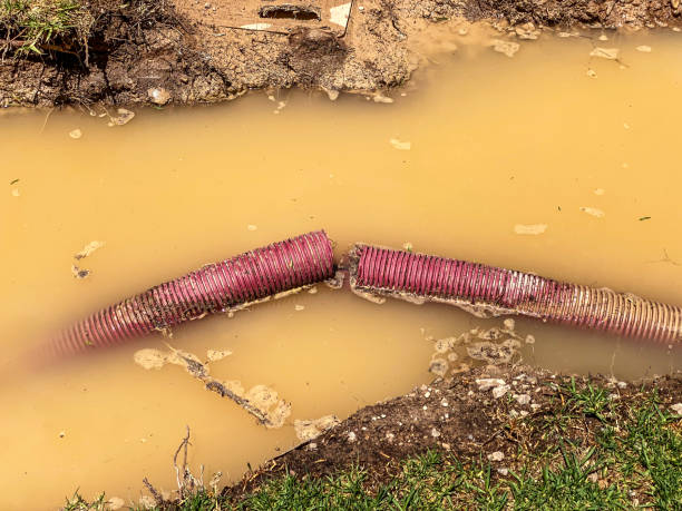 Best Local water damage restoration  in Salem, UT