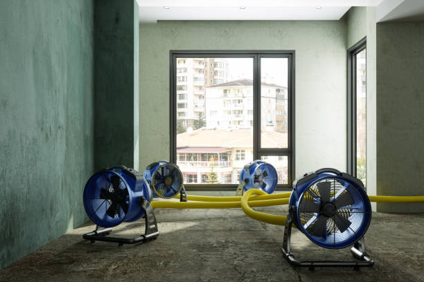 Best Mold removal after water damage  in Salem, UT