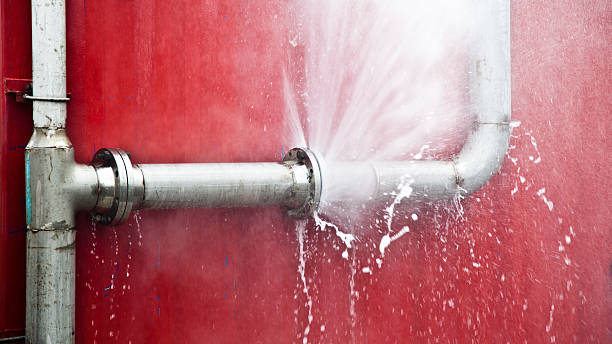 Best Professional water damage repair  in Salem, UT